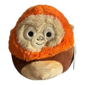 Robb - Squishmallow - 8 Inches